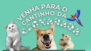 CANTINHO DA BICHARADA - PILAR